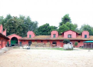ss lazio equitazione villa glori