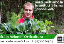 Campagna 5×1000 – Codice Fiscale 97710680584 l'emozione non ha voce Onlus | Autistici in Azione - Orticoltura | 5x1000 2017