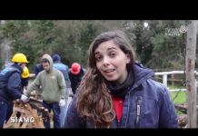 Siamo Noi – TV2000 | Servizio Autistici in Azione